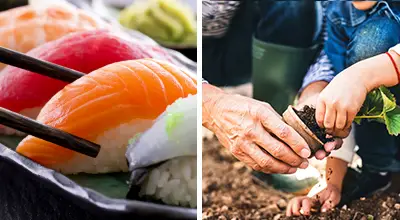 Picture of Sushi and People Potting Plants Picture of Sushi and People Potting Plants